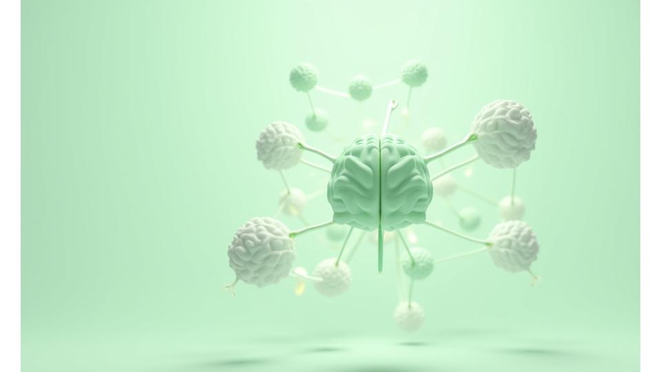 Illustration of a brain, heart, and gut connected by energetic lines, representing a holistic wellness approach.
